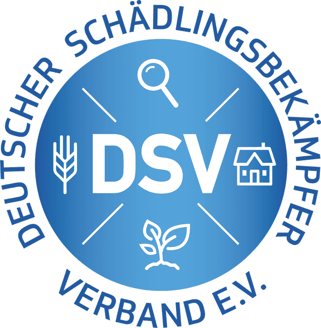 DSV Logo