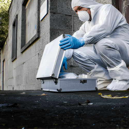 Tatortreinigung Service - Professionelle Schädlingsbekämpfung Niederbayern