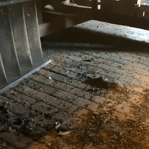 Taubenkotreinigung Service - Professionelle Schädlingsbekämpfung Niederbayern